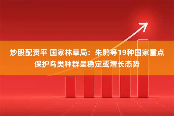 炒股配资平 国家林草局：朱鹮等19种国家重点保护鸟类种群呈稳定或增长态势